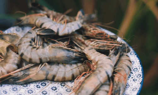 Prawns