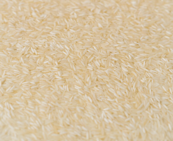 Rice