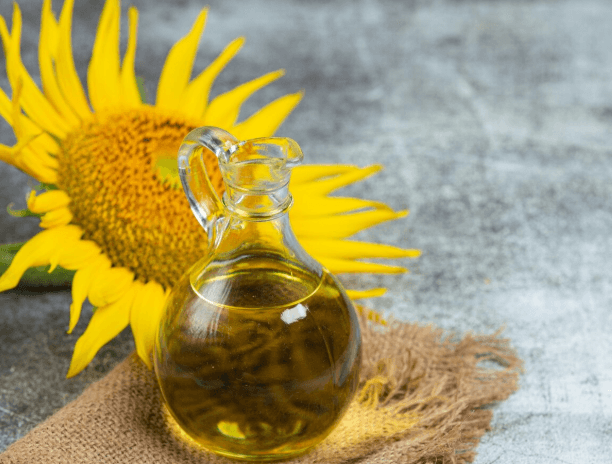 Sunflower Oil