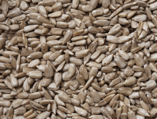 Sunflower Seeds