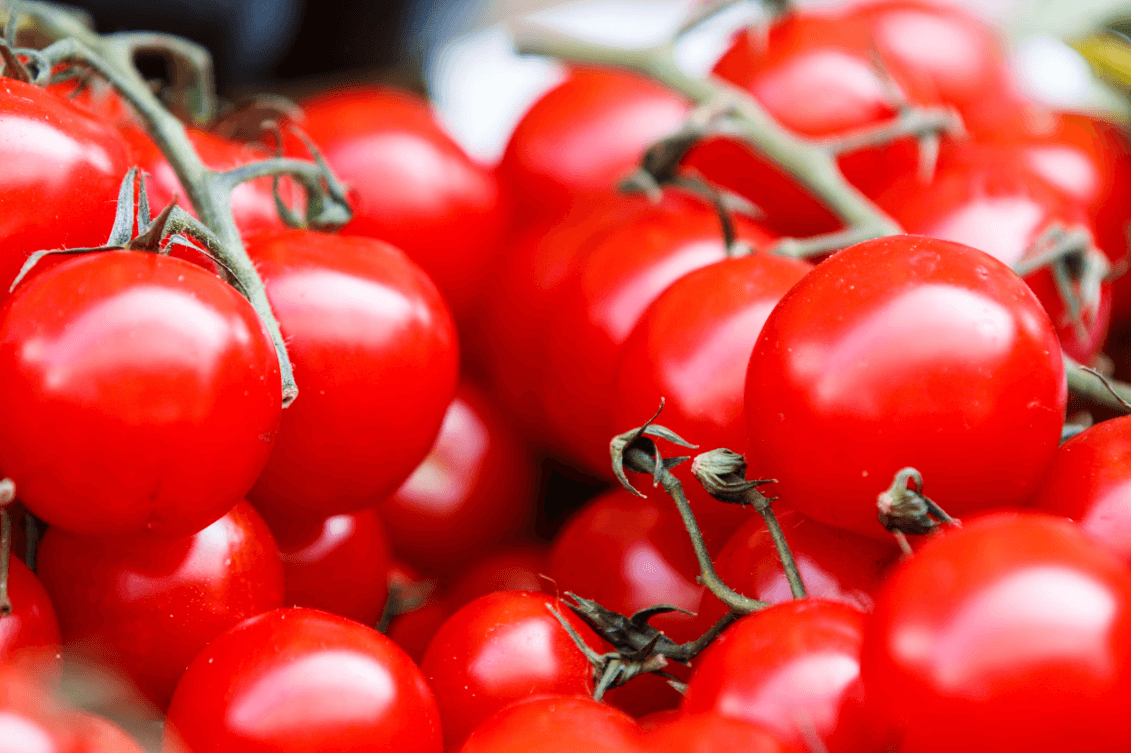 Tomatoes