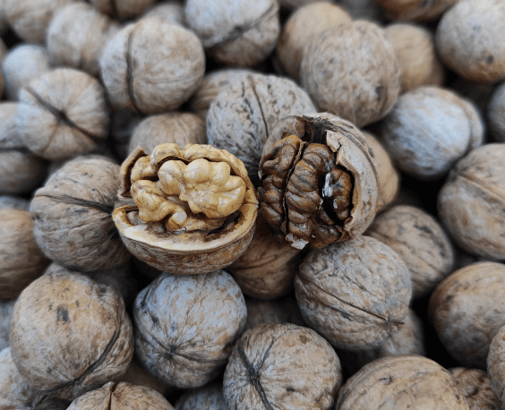 Walnuts
